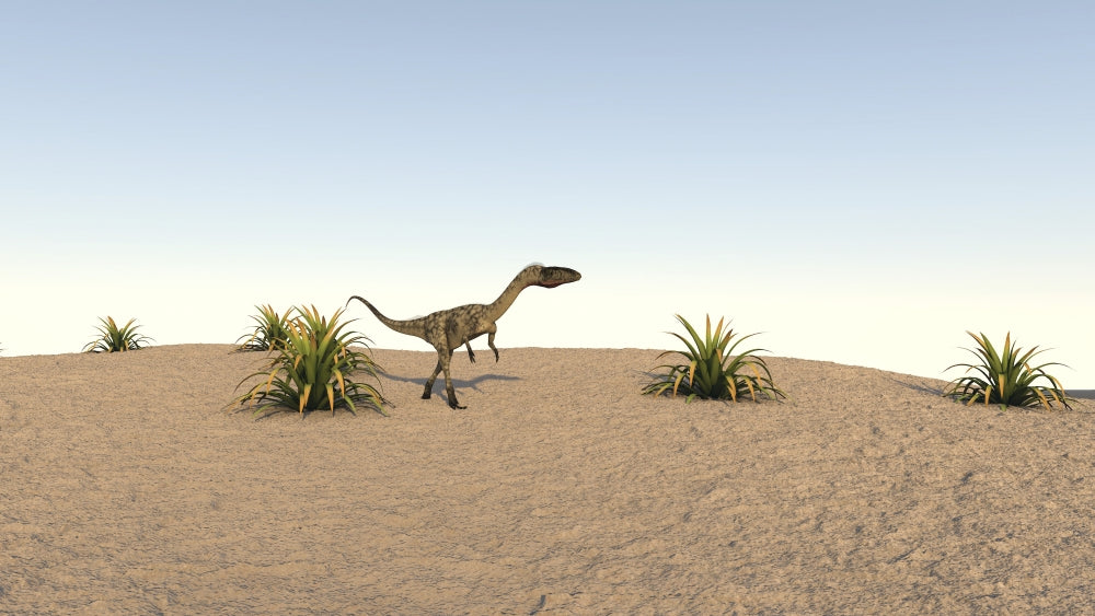 Coelophysis Walking Across a Barren Landscape Poster Print
