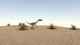 Coelophysis Walking Across a Barren Landscape Poster Print
