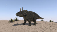 Triceratops Walking Across a Barren Landscape Poster Print