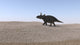Triceratops Walking Across a Barren Landscape Poster Print