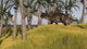Einiosaurus in a grassy field poster print.