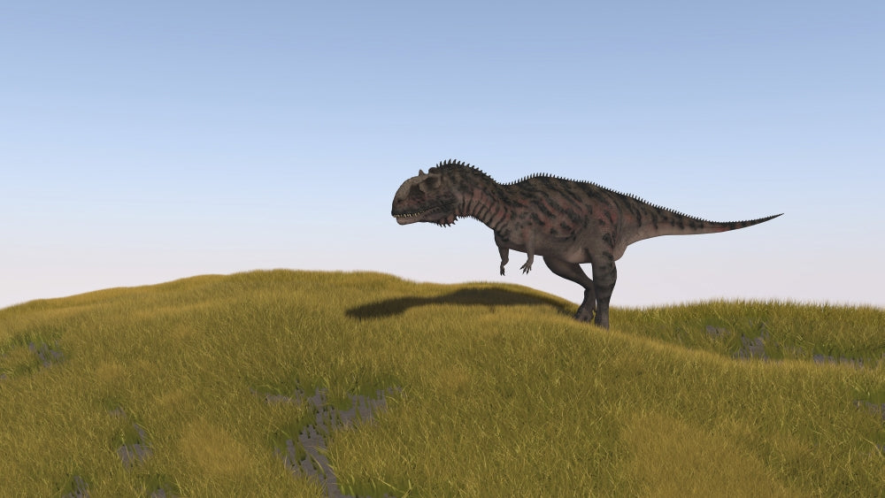 Majungasaurus walking across a grassy field poster print