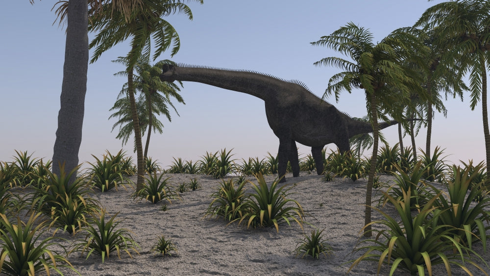 Brachiosaurus Grazing on Foliage Poster Print