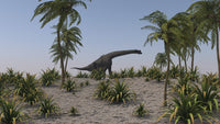 Large Brachiosaurus grazing poster print, showcasing a majestic dinosaur in its natural habitat.