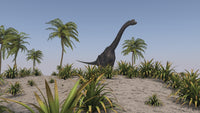 Large Brachiosaurus roaming a prehistoric landscape poster print.