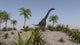 Large Brachiosaurus roaming a prehistoric landscape poster print.