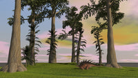 Kentrosaurus walking through a grassy field poster print.