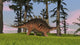 Kentrosaurus walking across a grassy field poster print