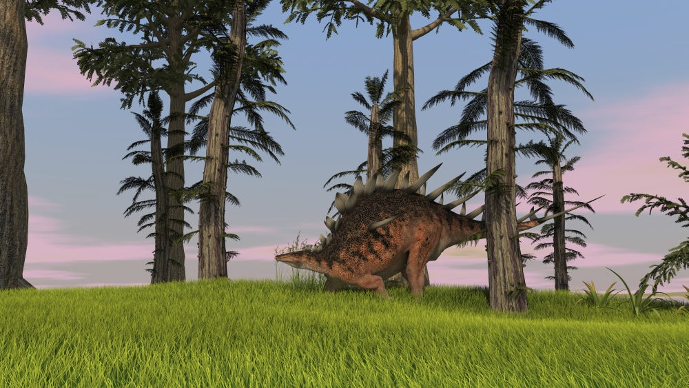 Kentrosaurus walking across a grassy field poster print.