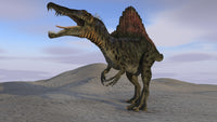 Spinosaurus Hunting on Barren Terrain Poster Print showcasing a fierce dinosaur in a barren landscape.