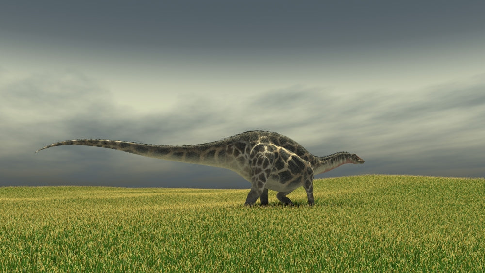 Dicraeosaurus walking across a grassy field poster print