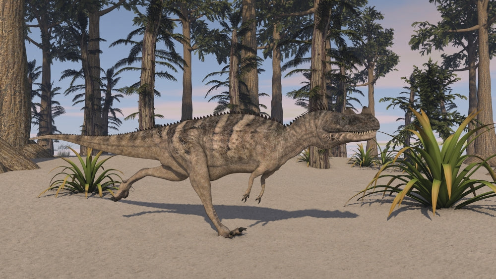 Ceratosaurus hunting in a prehistoric environment poster print