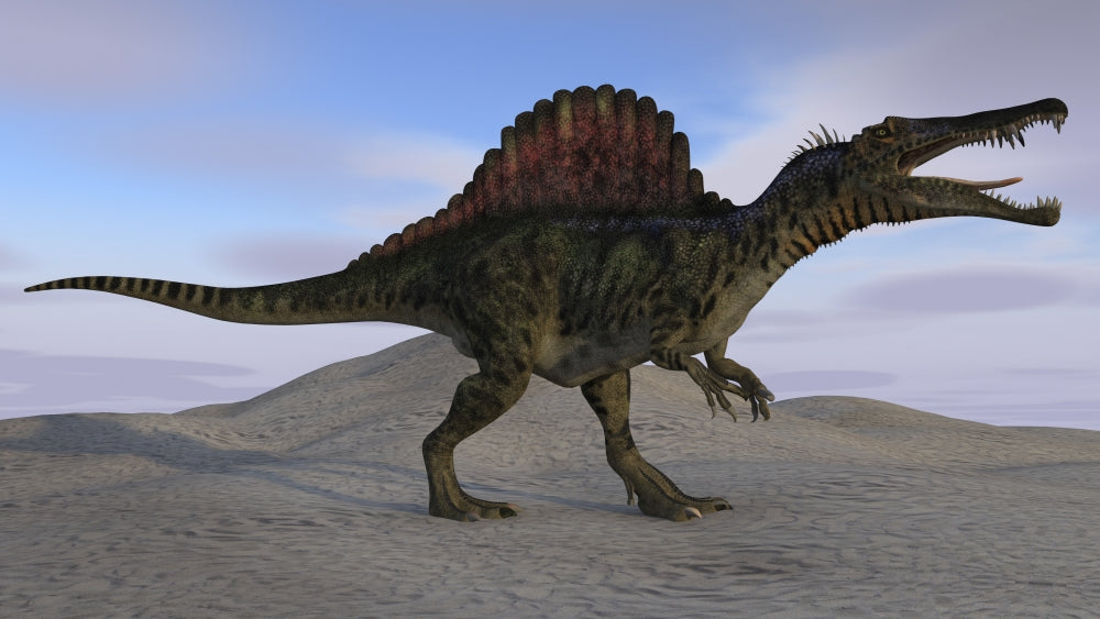 Spinosaurus on Barren Terrain Poster Print showing a dinosaur in a dramatic landscape.