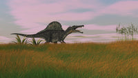 Spinosaurus Walking Across Prehistoric Grasslands Poster Print