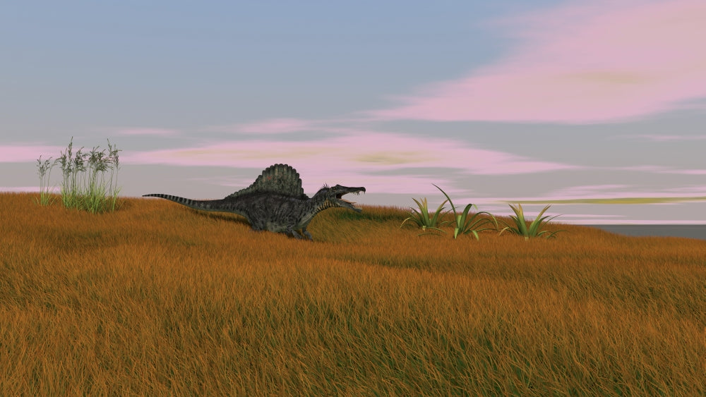Spinosaurus walking across prehistoric grasslands poster print