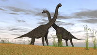Two Brachiosaurus in prehistoric grasslands poster print