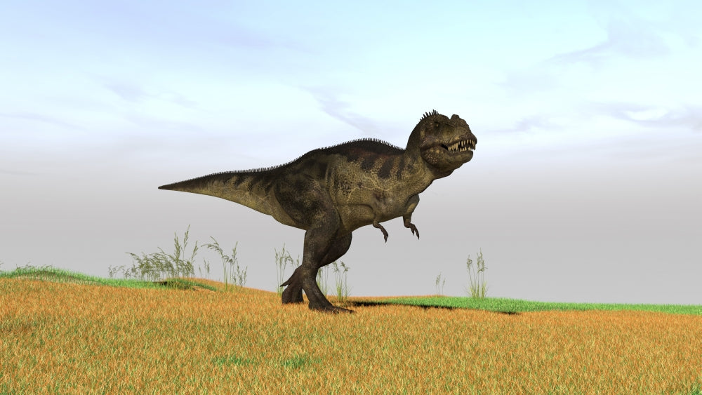 Tyrannosaurus Rex in a grassy field poster print