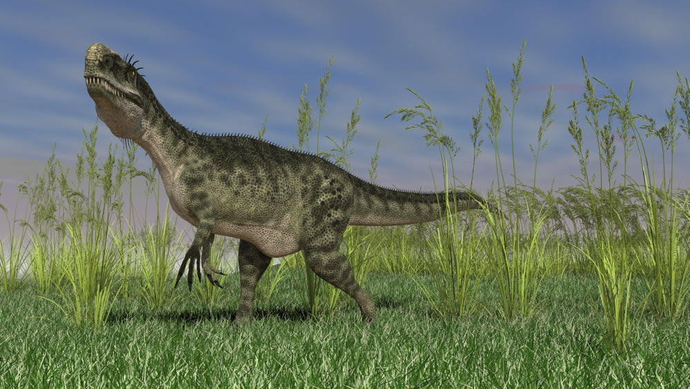 Monolophosaurus walking across a grassy field poster print