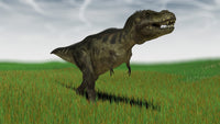 Tyrannosaurus Rex hunting in a grassy field poster print.