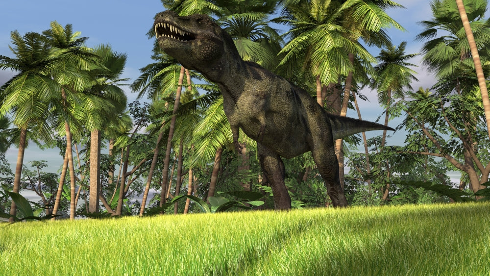 Tyrannosaurus Rex hunting in a tropical landscape poster print.