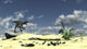 Utahraptor roaring poster print showcasing a dinosaur on a rock