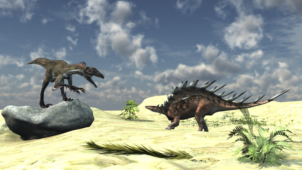 Confrontation Between a Utahraptor and Kentrosaurus Poster Print