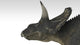 Triceratops Dinosaur Poster Print on white background