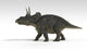 Triceratops dinosaur poster print on a white background.