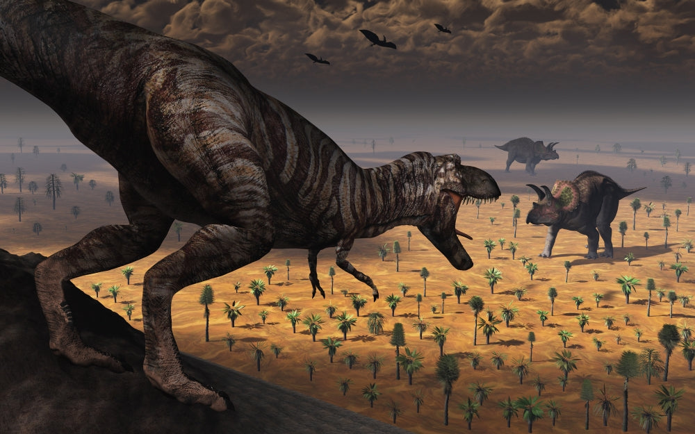 Tyrannosaurus Rex and Triceratops Dinosaur Poster Print