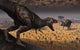 Tyrannosaurus Rex and Triceratops Dinosaur Poster Print