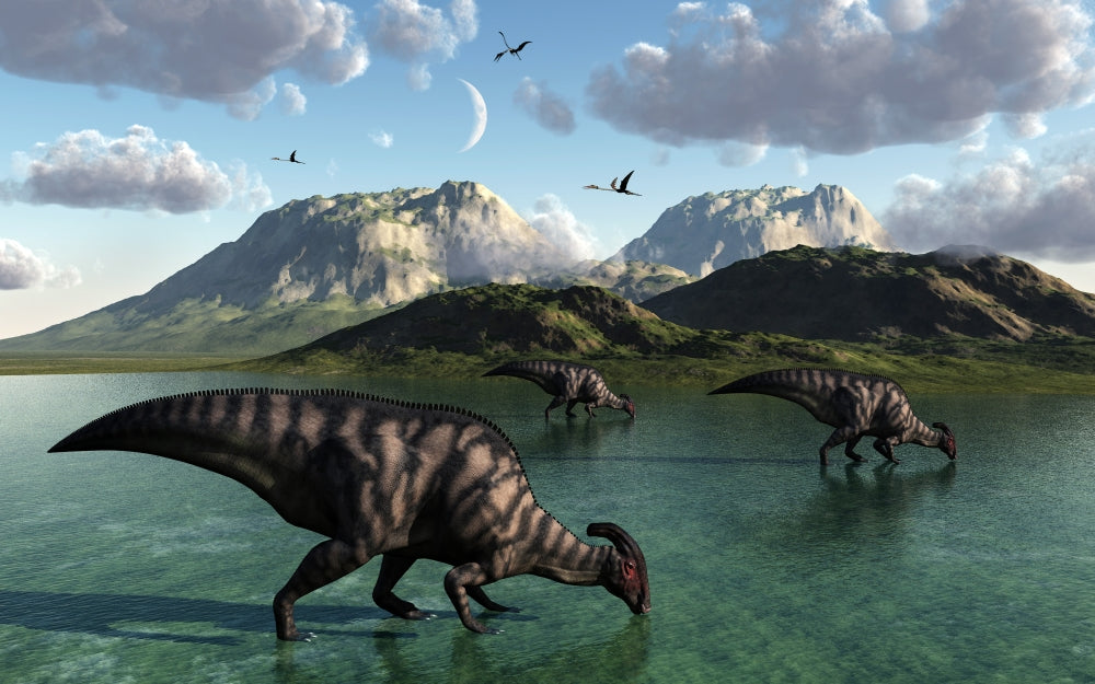Poster print of Parasaurolophus dinosaurs feeding in a freshwater lake.