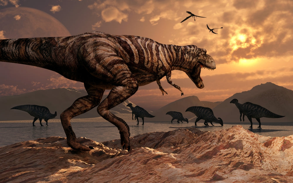 Tyrannosaurus Rex Hunting Parasaurolophus Poster Print showing a T-Rex planning its attack.