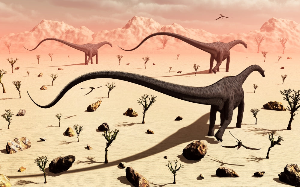 Diplodocus dinosaurs walking through a desert landscape poster print.