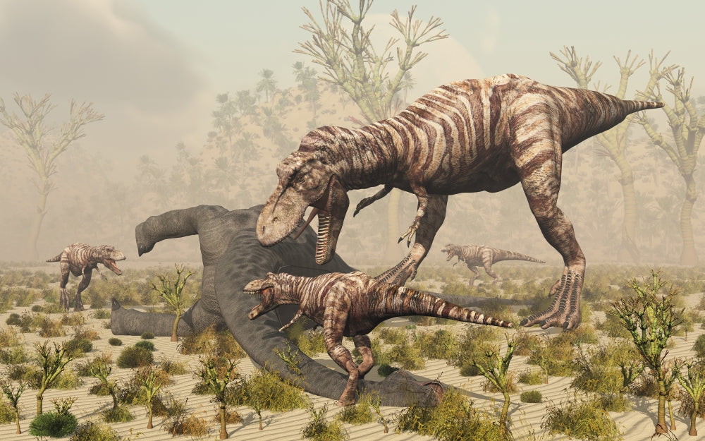 Adult female T. Rex with young feeding on a dead sauropod dinosaur.