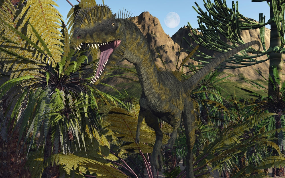 Dilophosaurus Carnivorous Poster Print in a Jurassic forest.