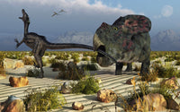 Protoceratops defending against Velociraptor poster print