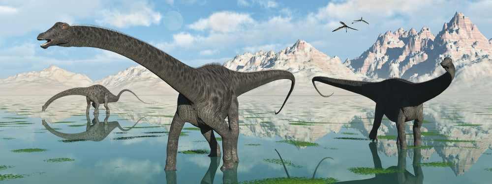 Diplodocus dinosaurs grazing by a freshwater lake poster print.
