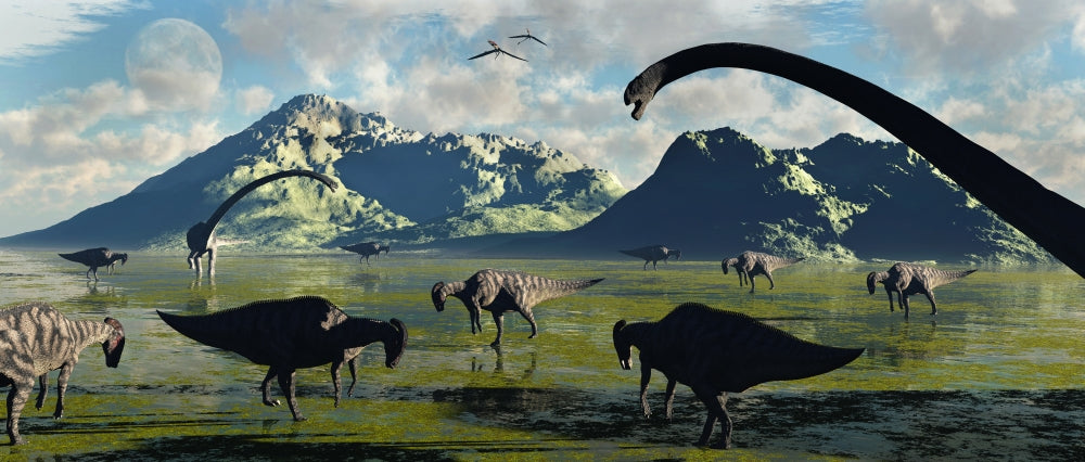 Duckbill Parasaurolophus and Sauropod Dinosaurs Feeding Scene Poster Print