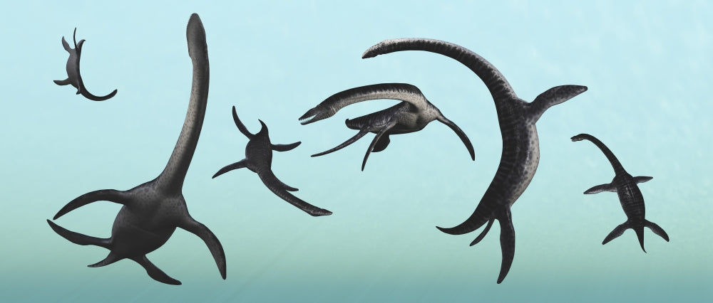 Plesiosaurs Gather at Their Underwater Playground Poster Print