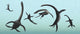 Plesiosaurs Gather at Their Underwater Playground Poster Print