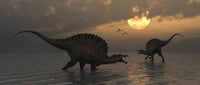 Giant Spinosaurus Dinosaurs Fishing Poster Print in a prehistoric setting.