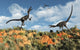 Territorial Dispute between Velociraptors Poster Print