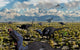 Allosaurus attacking a herd of Camptosaurus dinosaurs poster print.