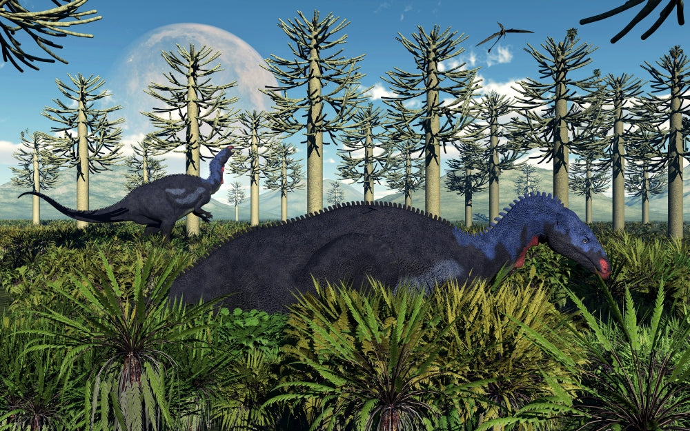 Camptosaurus dinosaurs grazing in the Jurassic Period poster print.