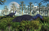 Camptosaurus dinosaurs grazing in the Jurassic Period poster print.