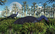 Camptosaurus dinosaurs grazing in the Jurassic Period poster print.