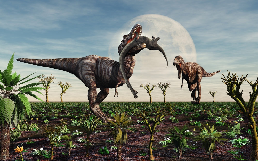 Tyrannosaurus Rex with a freshly killed young sauropod dinosaur poster print.