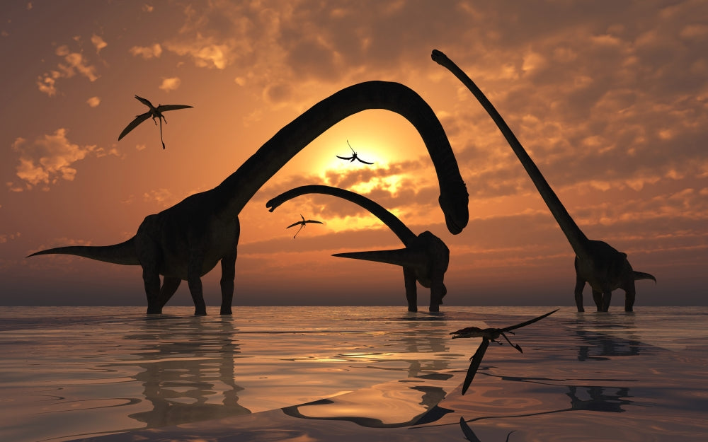 Omeisaurus dinosaur herd poster print showcasing Jurassic era.