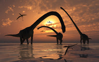 Omeisaurus dinosaur herd poster print showcasing Jurassic era.