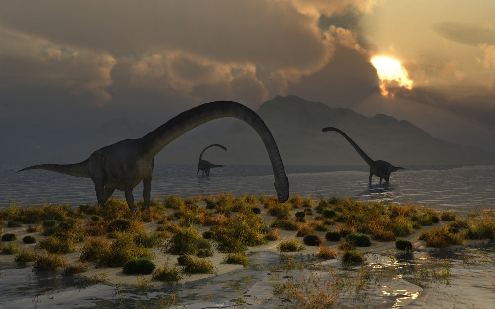 Omeisaurus dinosaurs poster print showcasing a herd from the Jurassic period.